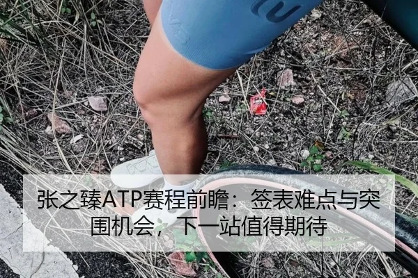 张之臻ATP赛程前瞻：签表难点与突围机会，下一站值得期待